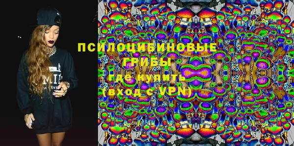 молекула духа Протвино