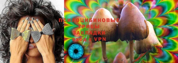 молекула духа Протвино